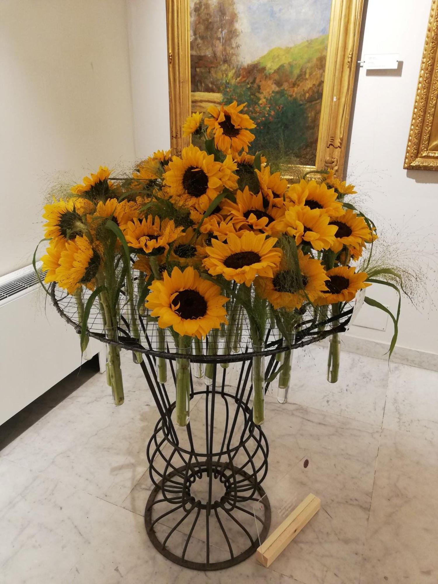 Ilgirasole B&B Rapallo Exterior photo
